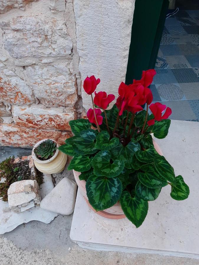 באלה Casa Porta Verde מראה חיצוני תמונה